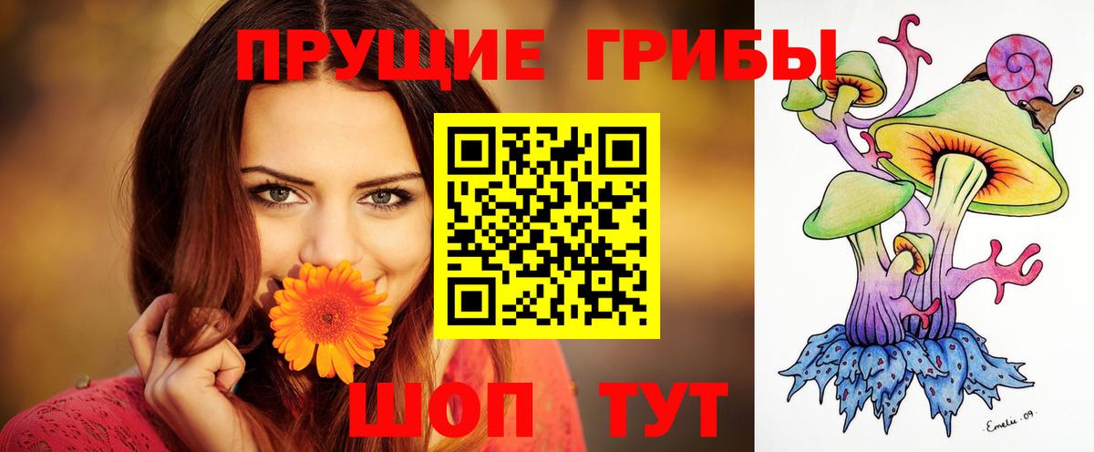 Назрань  Псилоцибиновые грибы ЛСД  Вход с VPN 